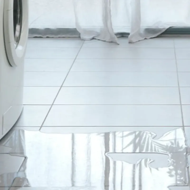 Appliance Leak Cleanup in Live Oak, FL