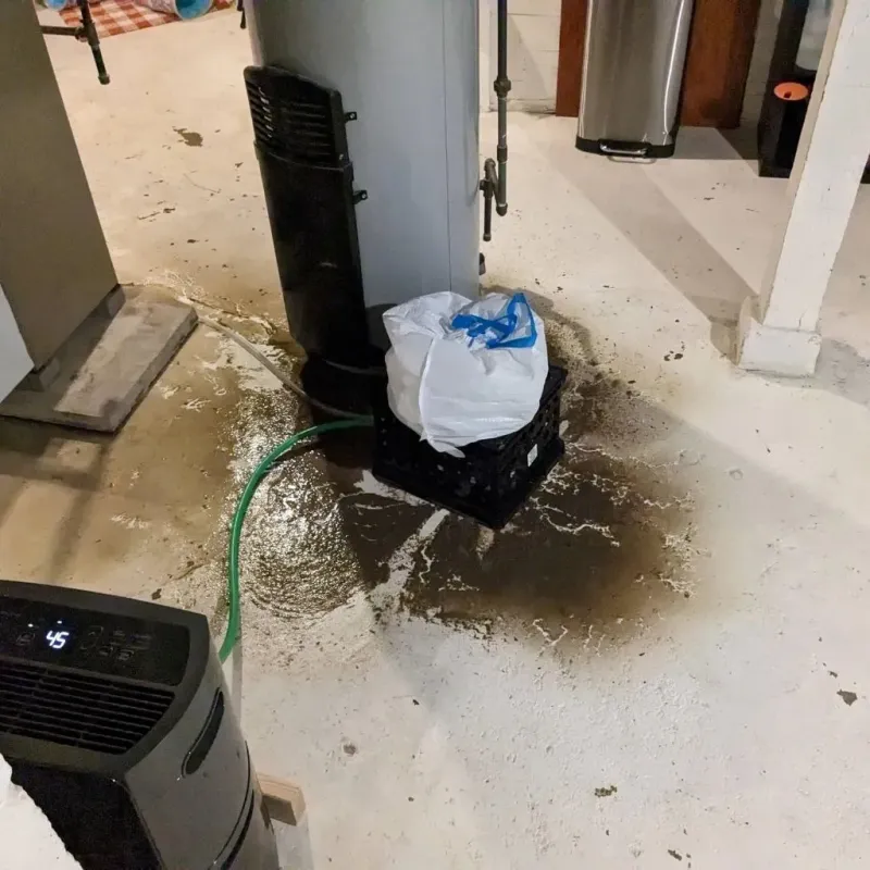 Sewage Backup Cleanup Service in Live Oak, FL